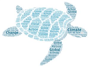 Climate Change Protest - Turtle Word Art